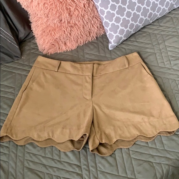 Maurices Pants - Tan Suede Scalloped Shorts